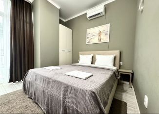 Сдача в аренду 1-ком. квартиры, 50 м2, Сочи, улица Герцена, 3, микрорайон Голубые Дали