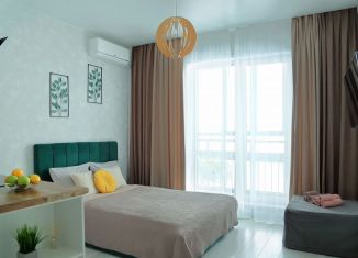 Сдам квартиру студию, 28 м2, Удмуртия, Цветочная улица, 10