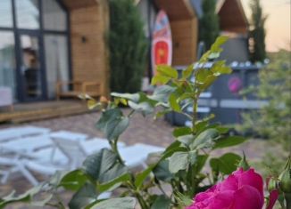 Дом в аренду, 75 м2, село Уютное