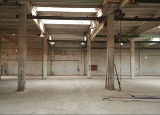 Сдаю производство, 1000 м2, Пензенская область, улица Рябова, 31Г