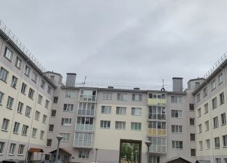 1-комнатная квартира на продажу, 34.1 м2, Петергоф, Петергофская улица, 8