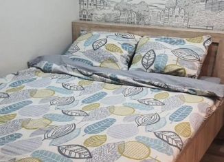 1-комнатная квартира в аренду, 33 м2, Новгородская область, Псковская улица