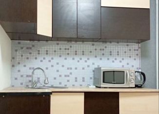 Однокомнатная квартира на продажу, 29.2 м2, посёлок городского типа Петра Дубрава, Южная улица, 2А