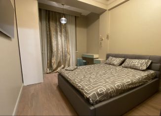 Сдача в аренду однокомнатной квартиры, 57 м2, Махачкала, улица Гамзата Цадасы, 76