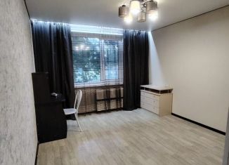 Продается 1-ком. квартира, 28 м2, Новосибирская область, проспект Мира, 28