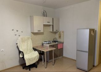 Аренда квартиры студии, 30 м2, Благовещенск, улица Василенко, 20/3