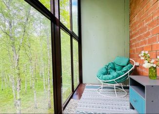 Продаю квартиру студию, 27 м2, посёлок Молодёжный, Сказочная улица, 10