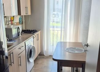 Сдам 1-ком. квартиру, 25 м2, посёлок Голубево, Лазурная улица, 4