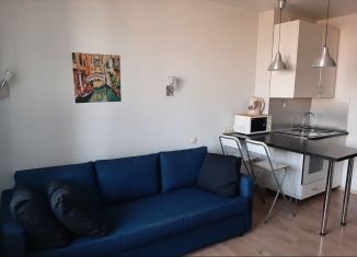 Сдается квартира студия, 23.1 м2, Новосибирск, Ипподромская улица, 75, ЖК Астра