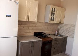 Сдается однокомнатная квартира, 32 м2, Мурино, проспект Авиаторов Балтики, 15, ЖК Охтинская Дуга