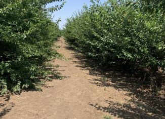 Земельный участок на продажу, 120 сот., село Владимировка, Абрикосовая улица