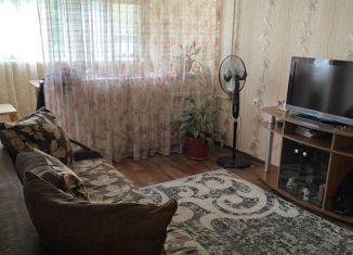 1-комнатная квартира на продажу, 26.5 м2, село Волковка, Надёжная улица, 16