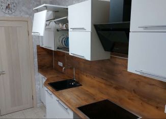 Сдам в аренду 4-ком. квартиру, 75 м2, Мурино, проспект Авиаторов Балтики, 3к1, ЖК Девятый вал