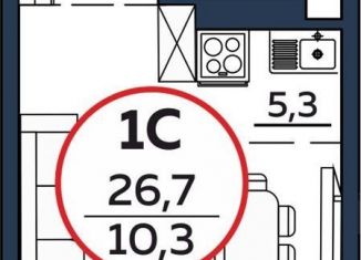 Продается однокомнатная квартира, 26.7 м2, Обь, Октябрьская улица, 3