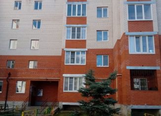 Сдается однокомнатная квартира, 37 м2, Куровское, Новинское шоссе, 26