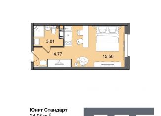 Продается квартира студия, 24.1 м2, Санкт-Петербург, метро Дунайская, Витебский проспект, 99к1