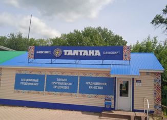 Продажа торговой площади, 243.2 м2, село Верхнеяркеево, Коммунистическая улица, 44