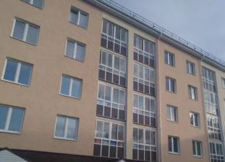 Продается двухкомнатная квартира, 50.5 м2, сельский посёлок Новинки, 2-я Дорожная улица, 9