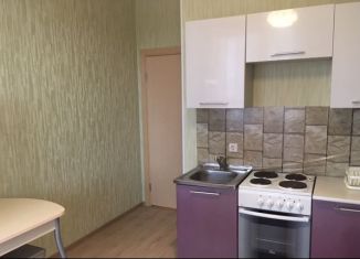 Сдам в аренду 1-ком. квартиру, 40 м2, Санкт-Петербург, улица Катерников, 5к2, ЖК Линкор