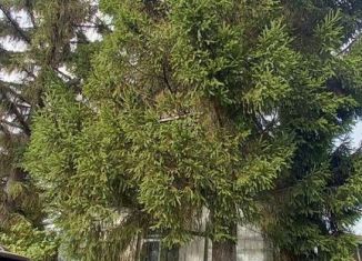 Продам дом, 24 м2, Омск, 1-я аллея, Центральный округ