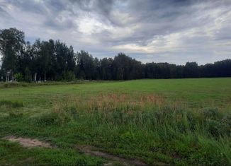 Земельный участок на продажу, 430 сот., Сельское поселение Некрасовское