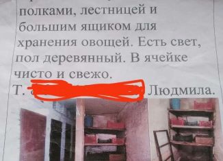 Гараж на продажу, 10 м2, Новосибирск, метро Золотая Нива, улица Куприна