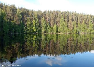 Участок на продажу, 126 сот., село Алёховщина