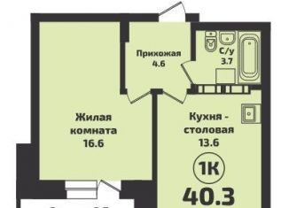 Продаю 1-комнатную квартиру, 40.3 м2, Новосибирск, Красный проспект, 329/1, ЖК Инфинити