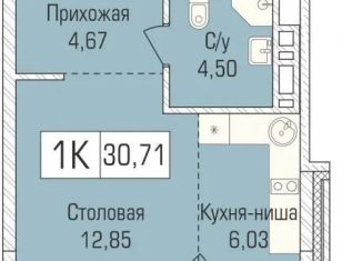 Продам однокомнатную квартиру, 30.7 м2, Новосибирск, улица Объединения, 102/4с, метро Заельцовская