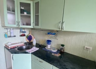 Сдача в аренду 1-ком. квартиры, 42 м2, Санкт-Петербург, Приморское шоссе, 281