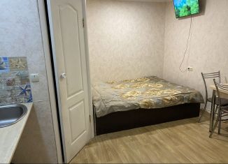 Сдаю в аренду квартиру студию, 25 м2, Ялта, Нагорная улица, 11