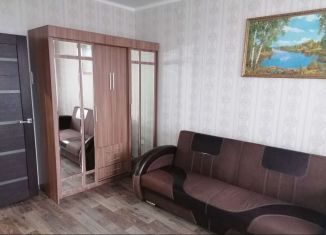 Сдается 1-ком. квартира, 45 м2, Брянская область, улица Красный Маяк, 98