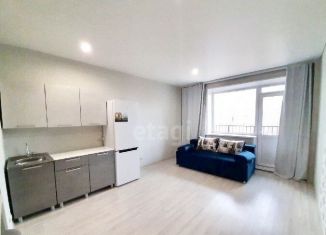 Продается квартира студия, 28.1 м2, Абакан, улица Комарова, 9Б, ЖК Комарово