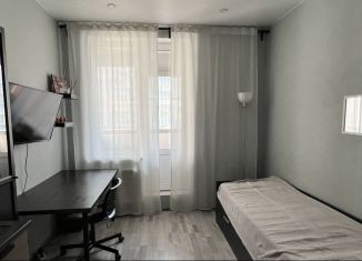 Продажа квартиры студии, 20.3 м2, Кудрово, Столичная улица, 11к3, ЖК Вернисаж