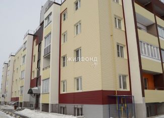 Продажа 1-комнатной квартиры, 31.6 м2, село Верх-Тула, микрорайон Радужный город, 17/2