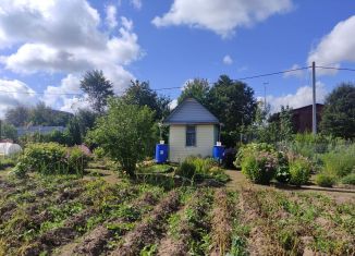 Продаю дачу, 10 м2, садовое товарищество Автобусник-2, садовое товарищество Автобусник-2, 50