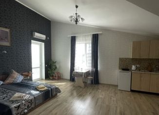 Сдаю в аренду квартиру студию, 27 м2, Балаклава, Аланская улица, 71