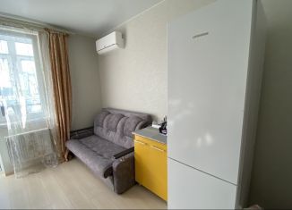 Сдам в аренду однокомнатную квартиру, 47 м2, Анапа, Владимирская улица, ЖК Триумф