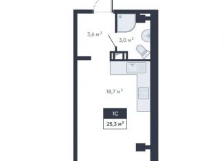 1-ком. квартира на продажу, 25.3 м2, Ленинградская область, улица Шоссе в Лаврики, 64к4