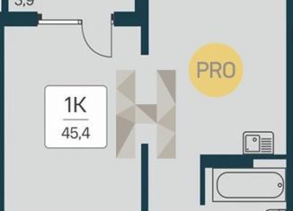 Продается 1-ком. квартира, 45.4 м2, Новосибирская область