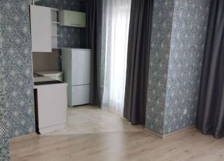 Сдам в аренду квартиру студию, 27 м2, Хакасия, улица Кирова, 206А