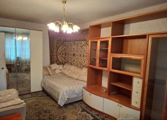 Продажа 1-ком. квартиры, 33 м2, Ленинградская область, улица Молодцова, 1