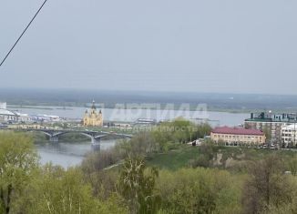 Продается квартира студия, 113 м2, Нижний Новгород, Дальняя улица, 8