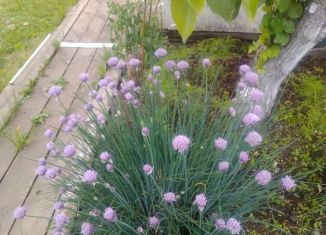 Продам дачу, 40 м2, Полевской