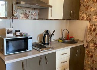 Аренда квартиры студии, 28 м2, Мурино, Охтинская аллея, 10к1, ЖК Девятый вал