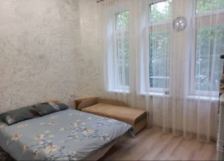 Квартира в аренду студия, 20 м2, Ставропольский край, улица Гааза, 10