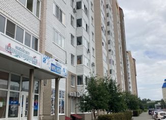 Сдается 3-ком. квартира, 62 м2, Барнаул, улица Антона Петрова, 221Г/3