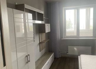 Аренда 2-ком. квартиры, 64 м2, деревня Островцы, Баулинская улица, 13