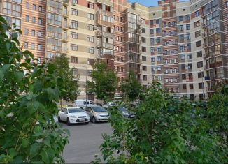 Продам квартиру студию, 22 м2, деревня Ивановское, улица Семёна Гордого, 5