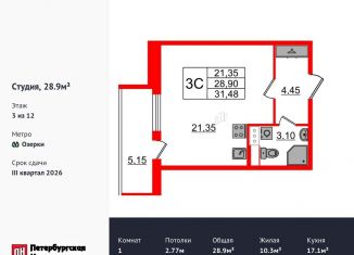 Продается квартира студия, 28.9 м2, Санкт-Петербург, метро Парнас